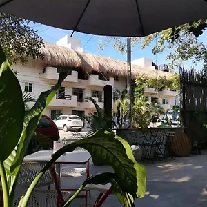 Mandarinas Playa del Carmen